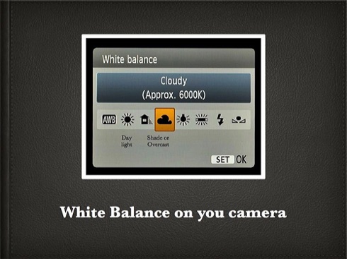 How to White Balance.004.jpg How to White Balance.004.jpg